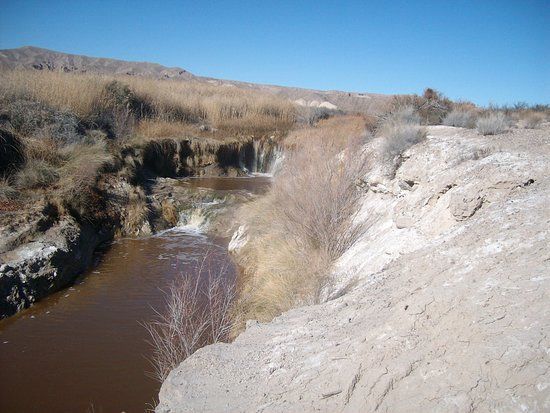 Amargosa River Project