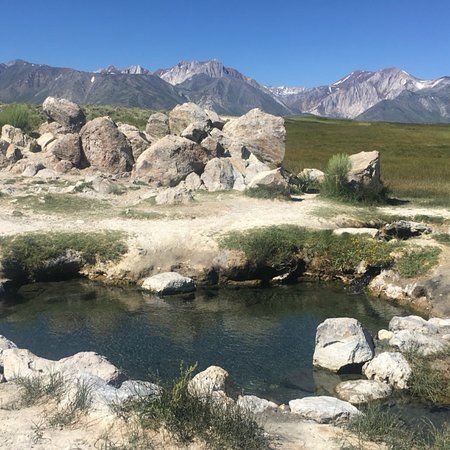 Wild Willy's Hot Springs