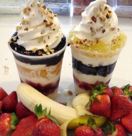 Paradise Yogurt