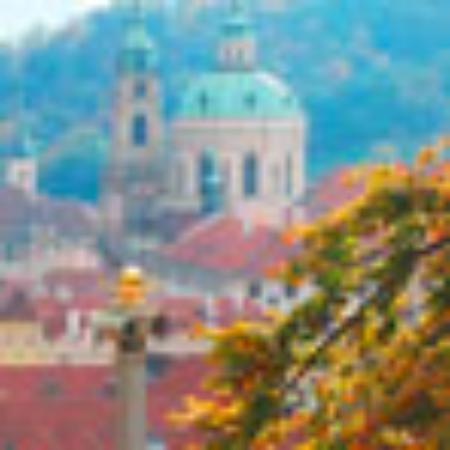 Noodles and Rice Etc