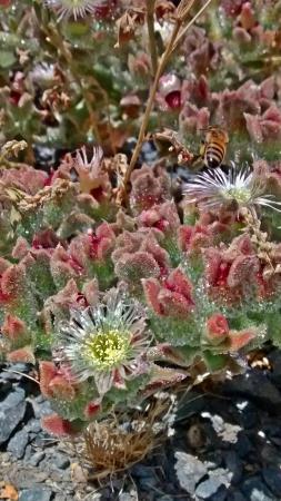 Otay Valley Regional Park