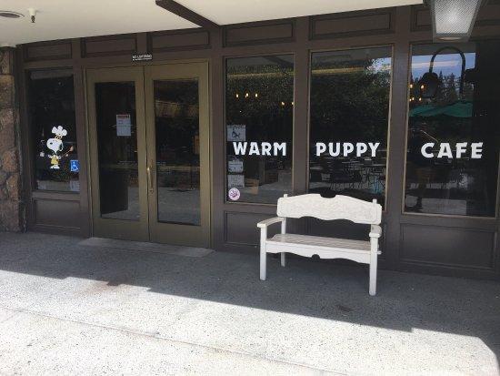 Warm Puppy Cafe