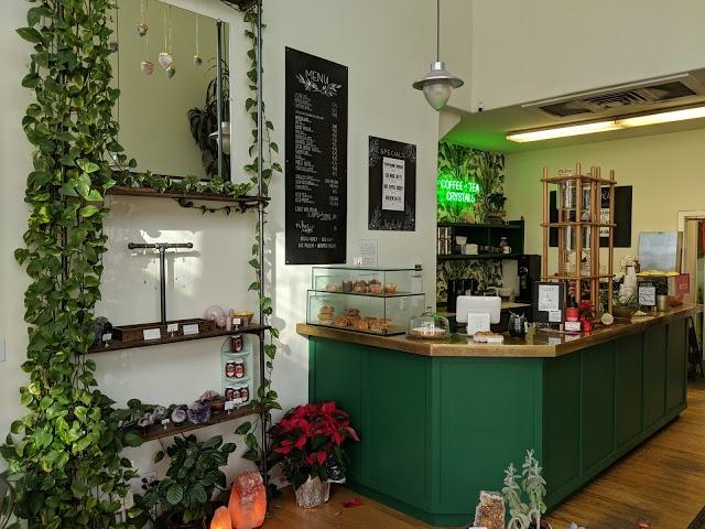 STEEP Organic Coffee and Tea