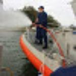 Stang's Hot Dogs and Sausages