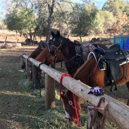 Willow Creek Riding Center