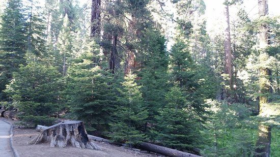 Kern River State Park