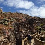 Rubio's Coastal Grill