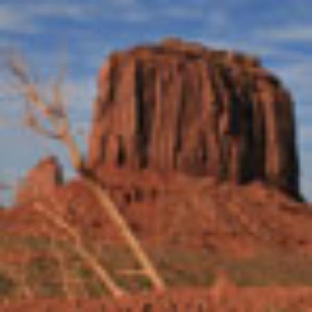 Una Mas Mexican Grill