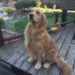 Arnold Chevron & Deli