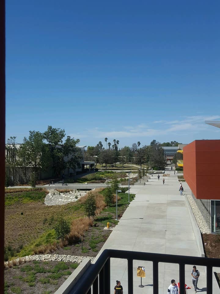 Los Angeles Valley College