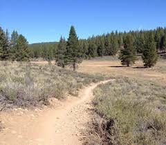 Emigrant Trail