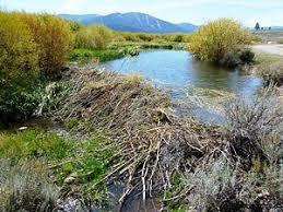 Martis Creek
