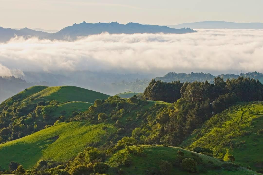 Tilden Regional Park