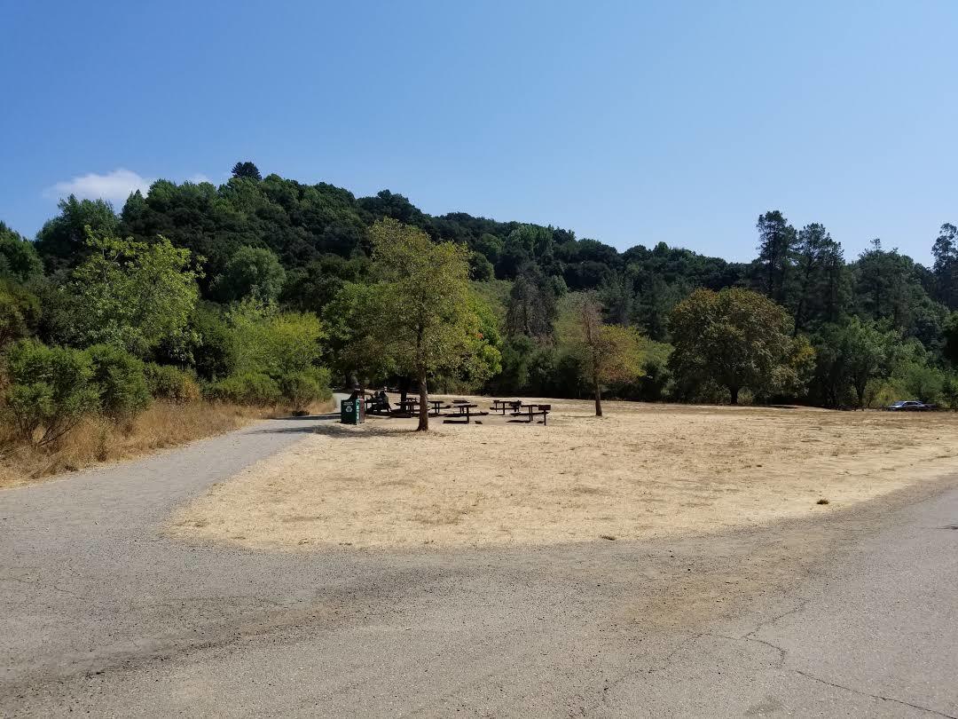 Redwood Regional Park