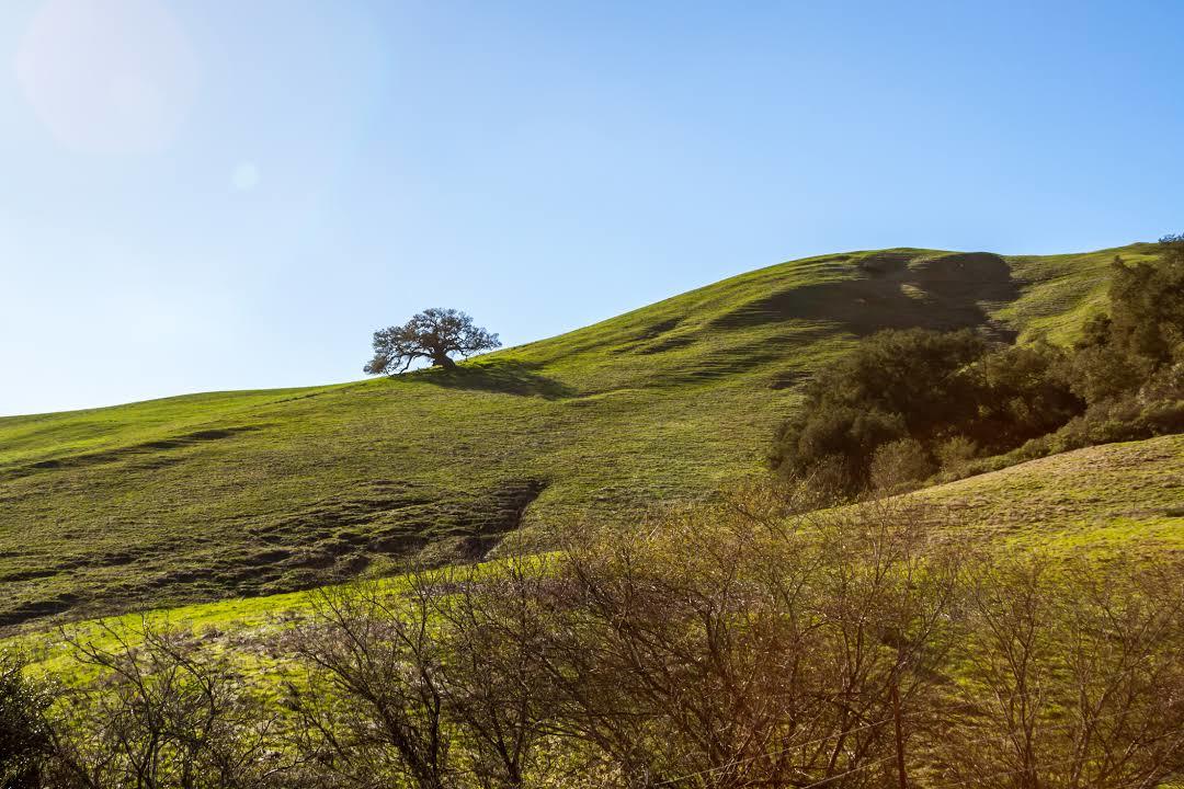 Irish Hills Natural Reserve