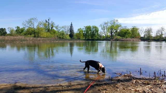 Lodi Lake Park