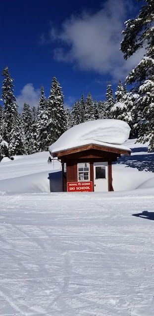 Royal Gorge Cross Country Ski Resort