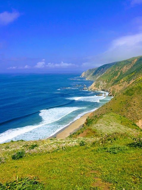 Tomales Point Trailhead