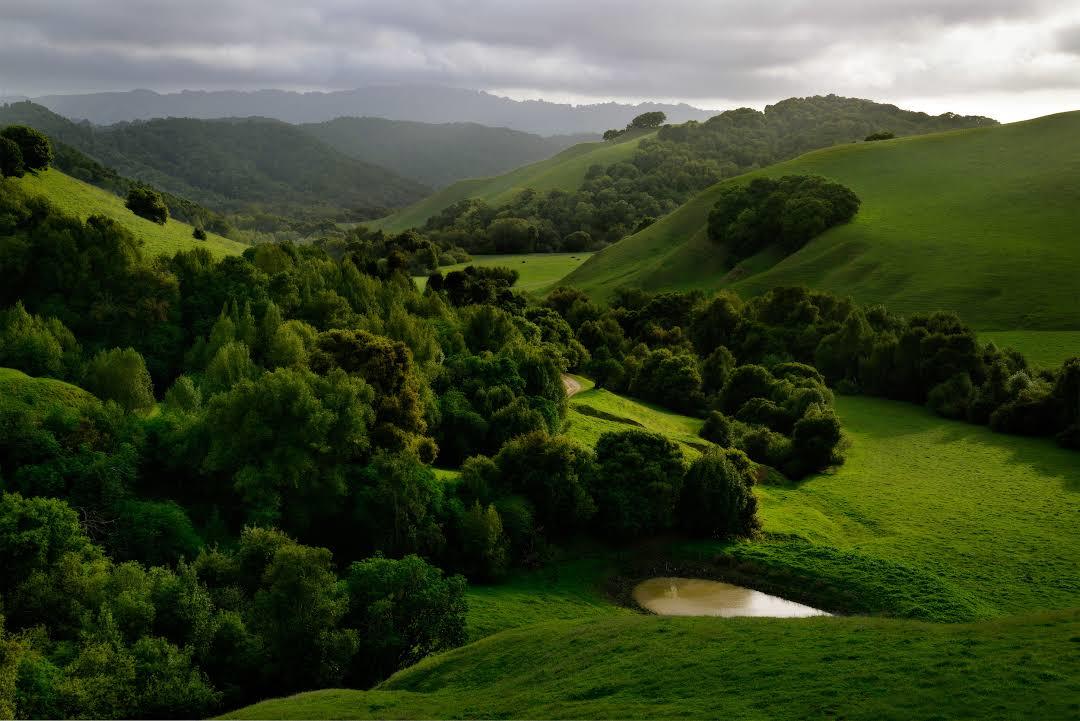 Briones Regional Park