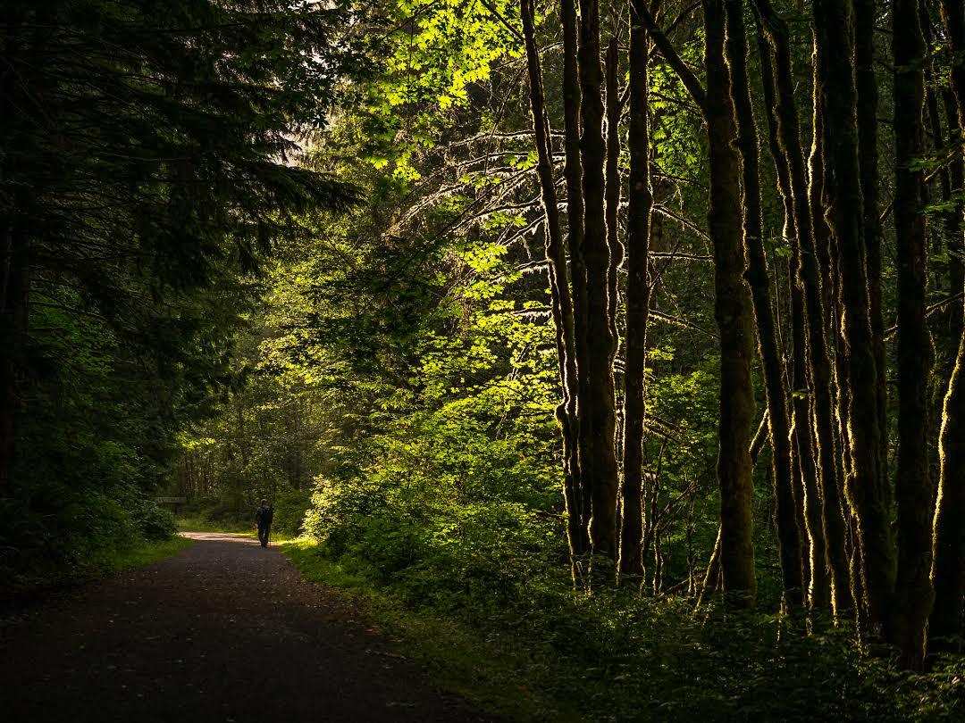 Iron Horse Regional Trail