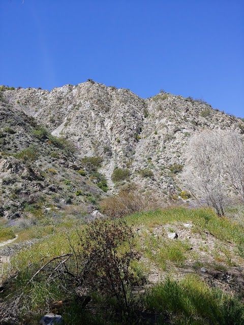 Big Morongo Canyon Preserve