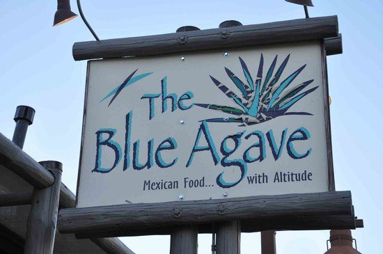 The Blue Agave