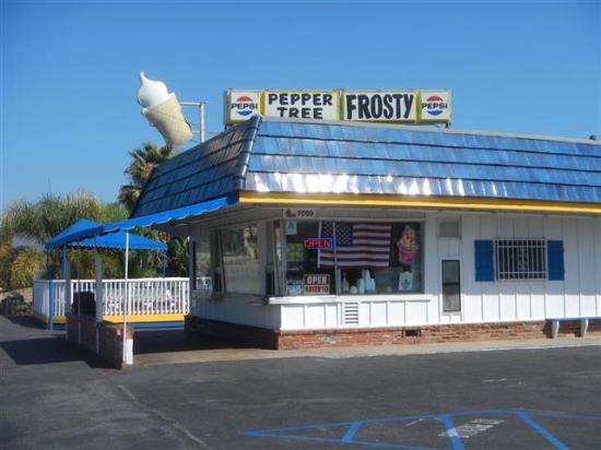 Pepper Tree Frosty