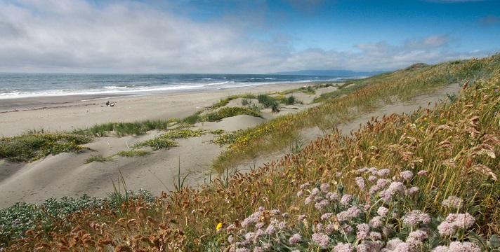 Humboldt Bay National Wildlife Refuge