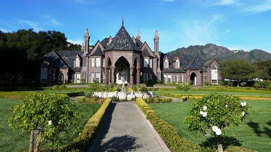 Ledson Winery and Vineyards