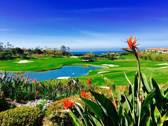 Monarch Beach Golf Links