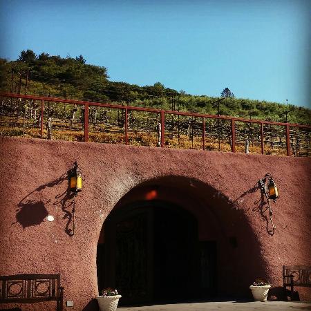 Petroni Vineyards