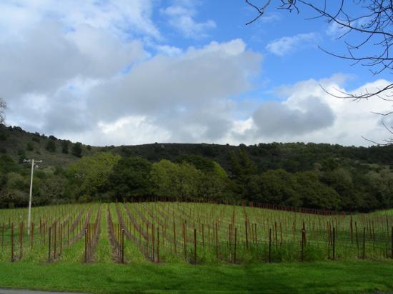 Gundlach-Bundschu Winery