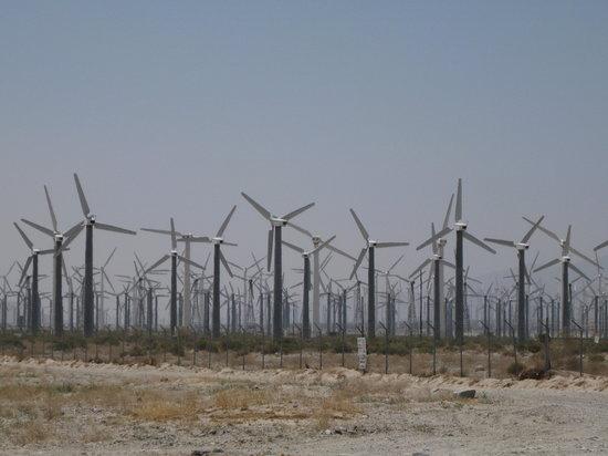 Windmill Farm