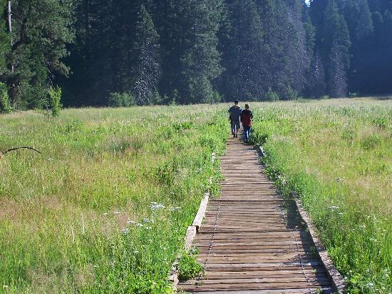 Calaveras Big Trees State Park