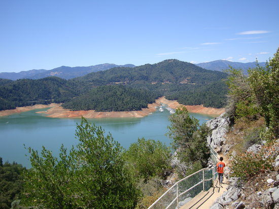 Lake Shasta