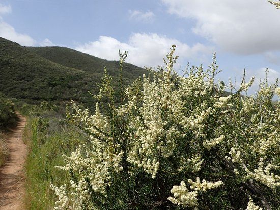 Black Mountain Open Space Park