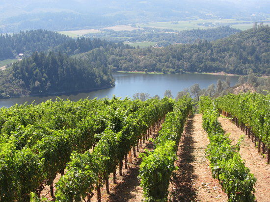 Viader Vineyards & Winery