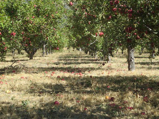 Rileys at Los Rios Rancho