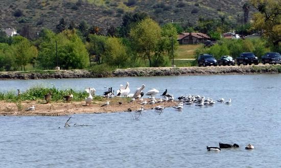 Lindo Lake County Park