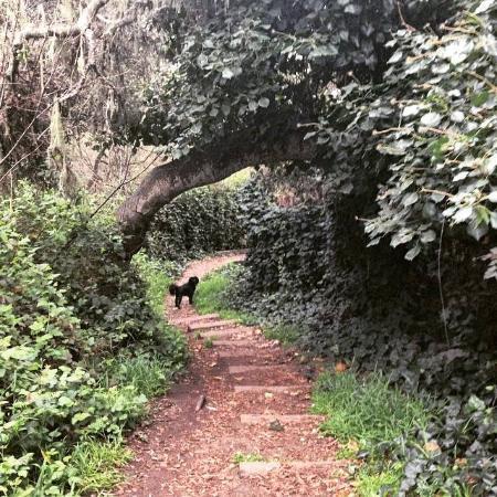Frog Pond Wetland Preserve