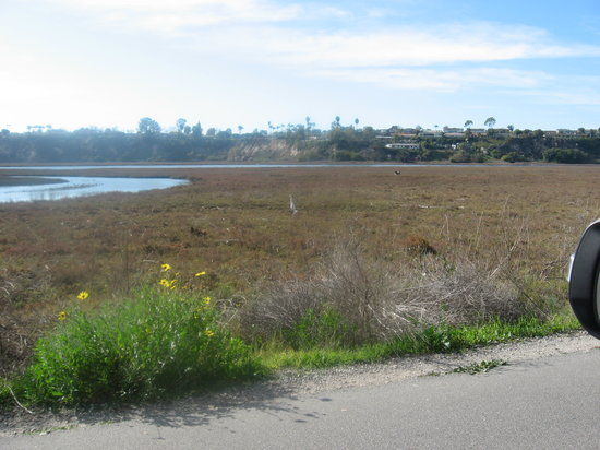 Upper Newport Bay Regional Park