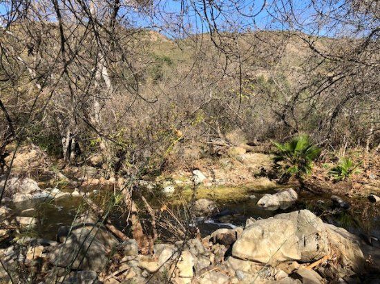 Elfin Forest Recreational Reserve