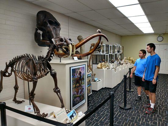Roynon Museum of Earth Science and Paleontology