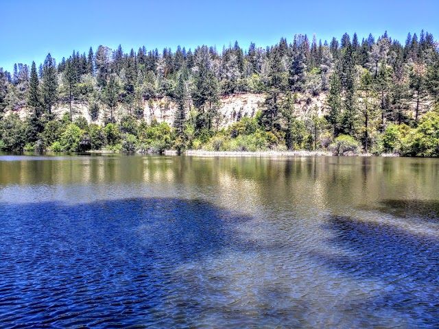 Hirschman's Pond Public Land