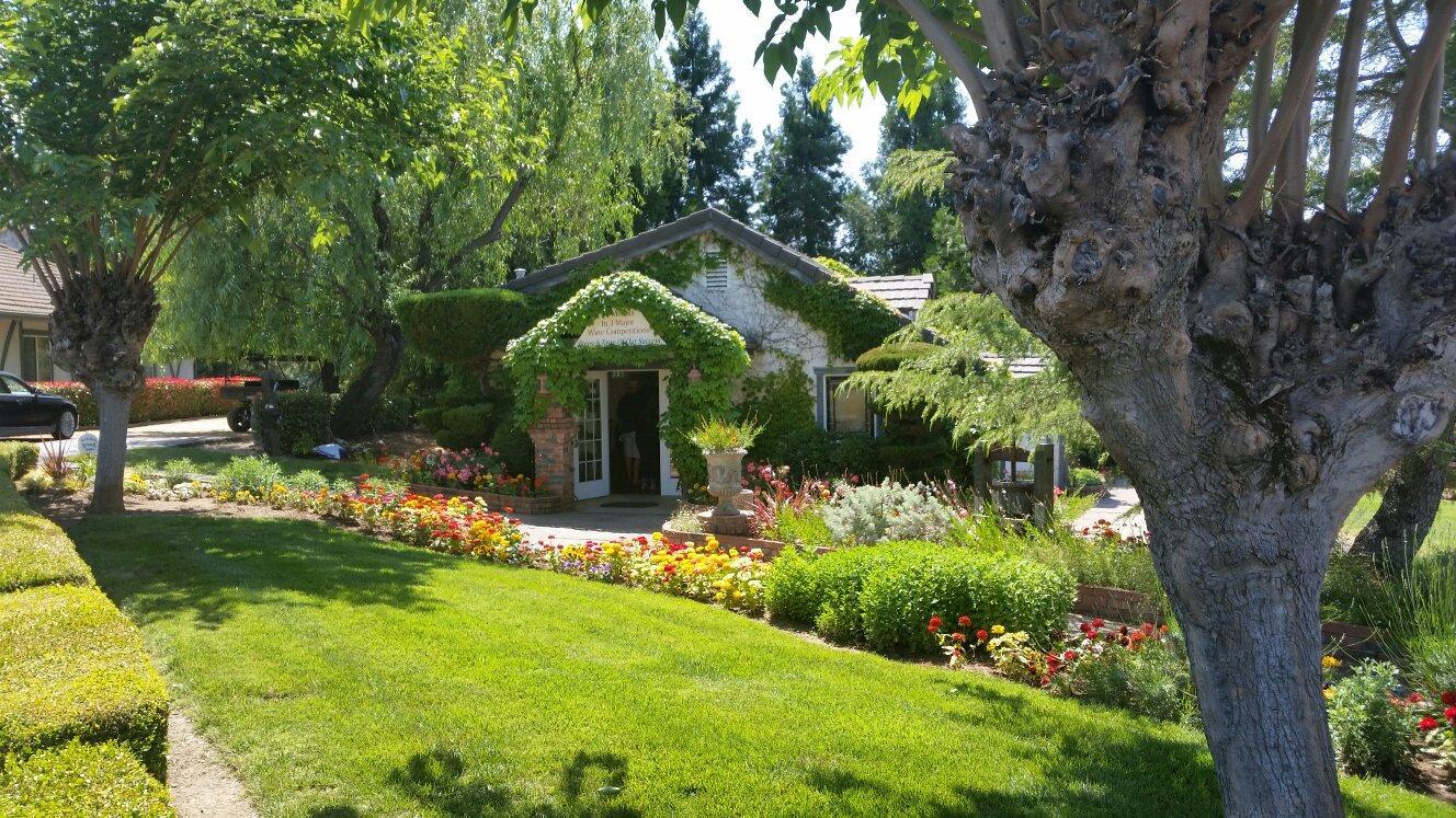 Machado Orchards