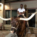 Penguin Fish and Chips