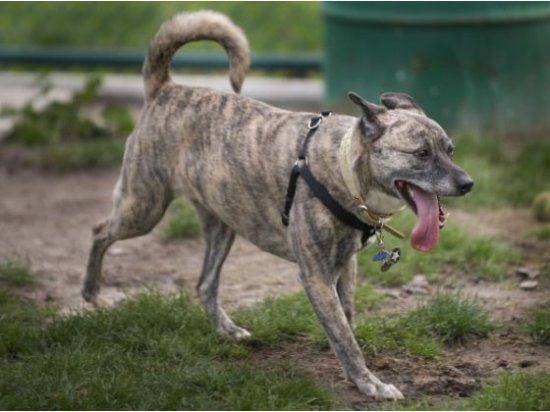 Garden Grove Park and Dog Park