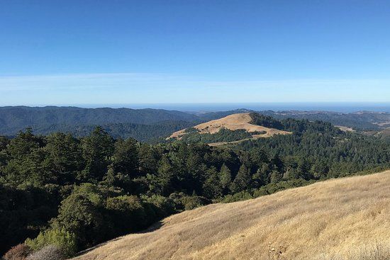 Russian Ridge Open Space Preserve