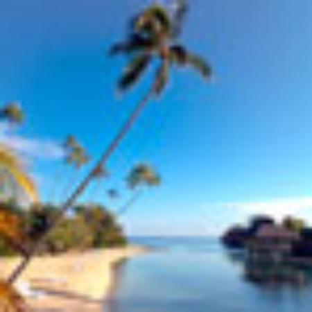 Hong Kong Seafood Restaurant