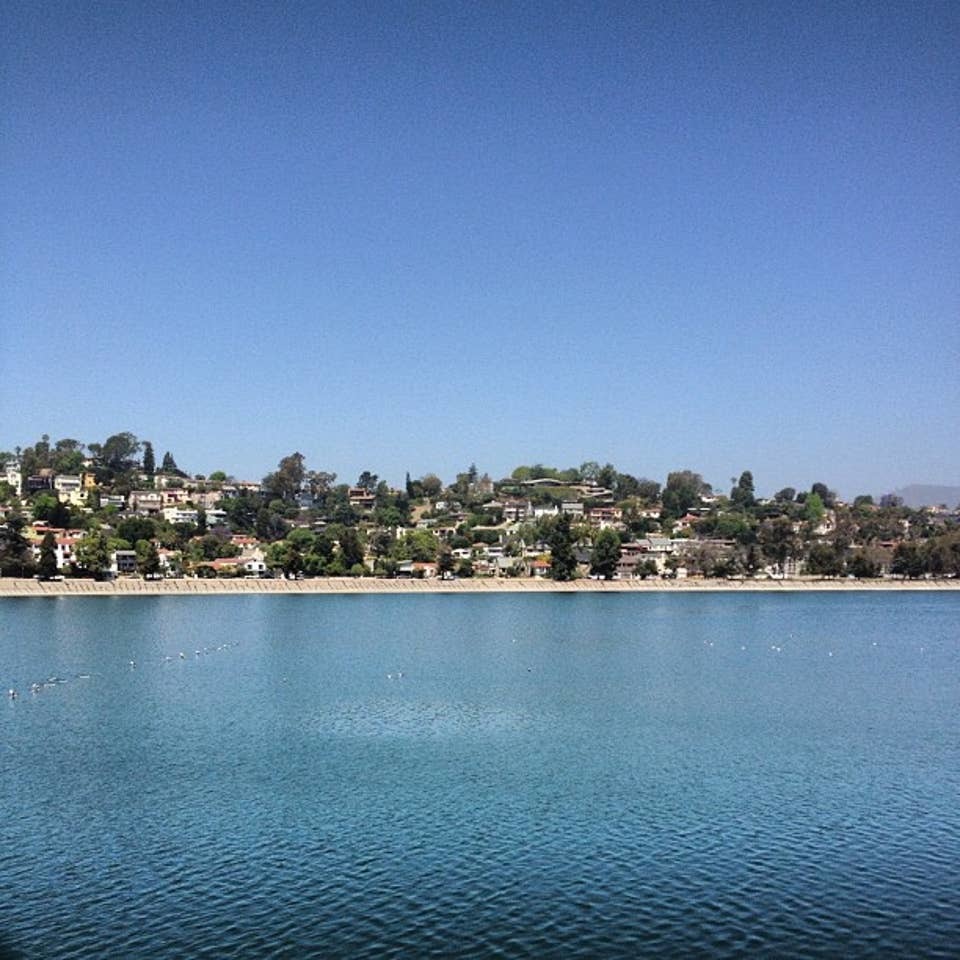 Silver Lake Meadow